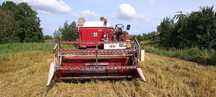 Sprzedam international 431 na części