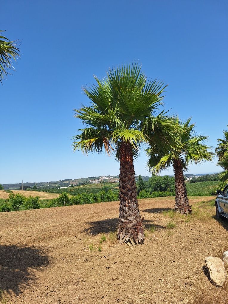 Terreno  com 17000 quadrados bem localizado