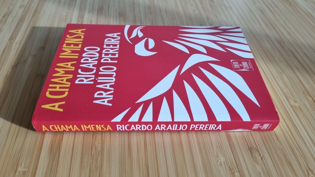 Livro A Chama Imensa - Ricardo Araújo Pereira
de Ricardo Araújo Pereir