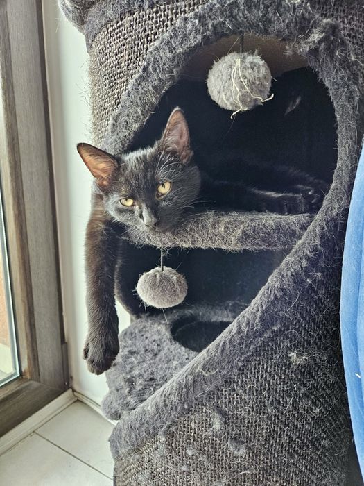 Mentos to super przyjaciel