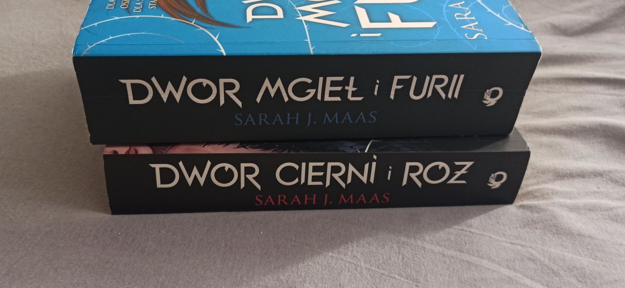 Sarah J Maas Dwór cierni i róż, dwór mgieł i furii