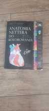 Anatomia Nettera do kolorowania