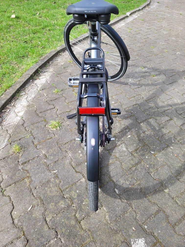 Rower Multicycle Alfine11 Pasek