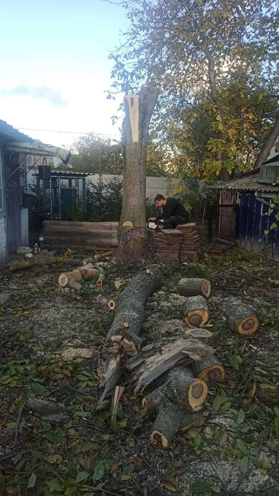 Пиляння дерев ,спалювання аварійних дерев,всі види послуг