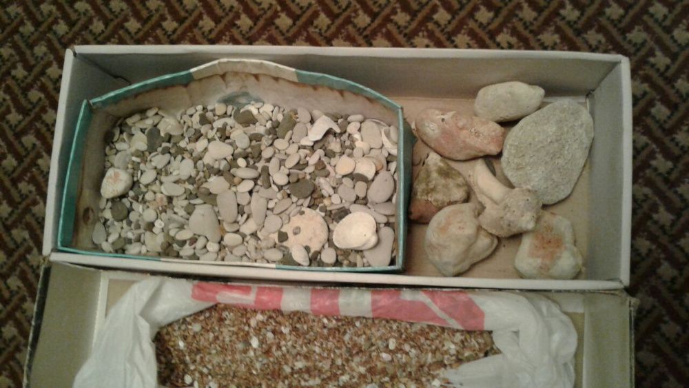 Продам камушки морские для аквариума