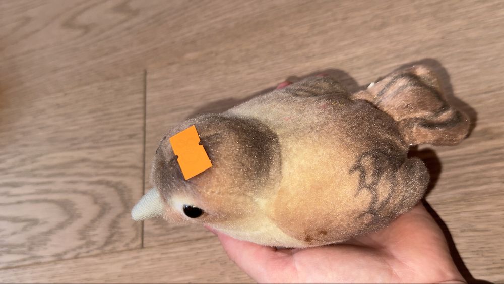 Пташечка зі звуком