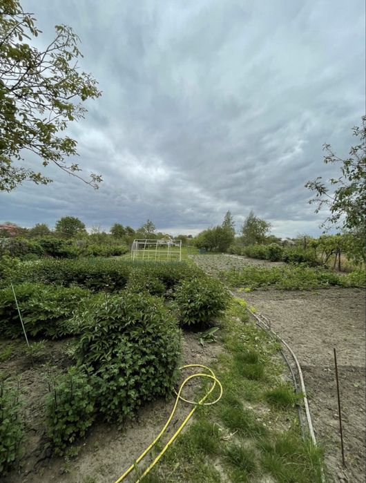 Оренда будинку в с. Требухів 20км від Києва.