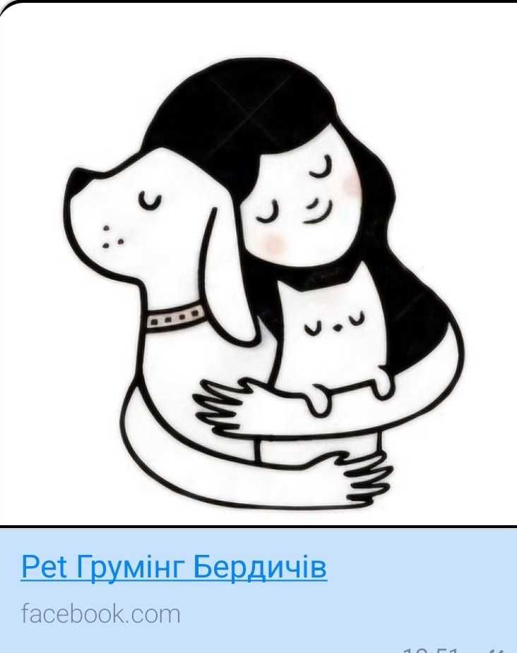 Грумінг/стрижка  собак і котів