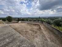 TERRENO | Valhascos, Sardoal