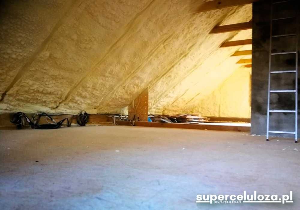 Wdmuchiwanie celulozy | Naprawy izolacji dachu | Kuny | Termowizja