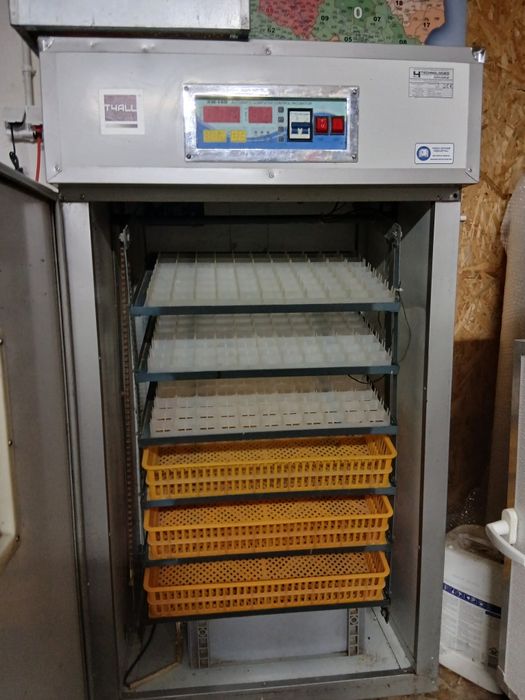 Inkubator 526 jaj pełny automat