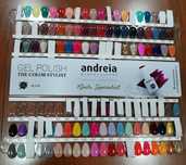 Verniz gel Andreia Novos