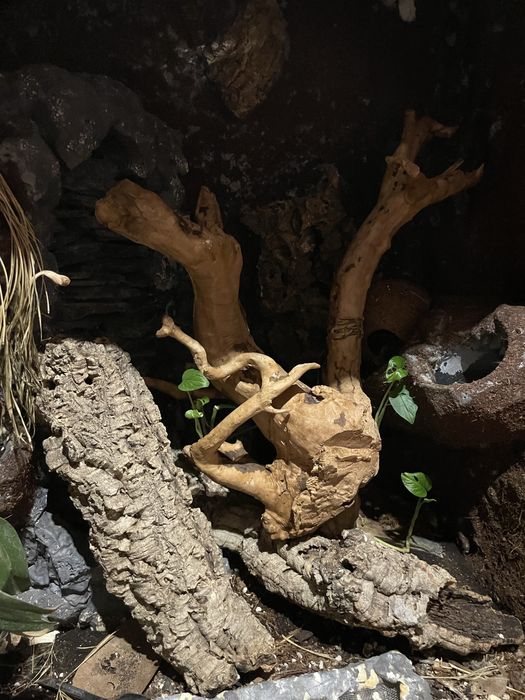 Podwojne terarium + pelne wyposazenie pod jaszczurki  !