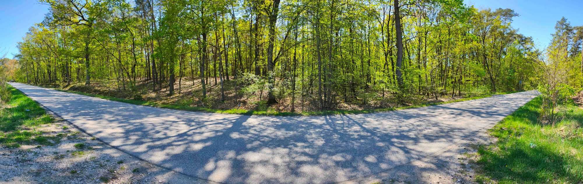 Działka rekreacyjna 3600 m² | pow. Sochaczewski | Mazowieckie