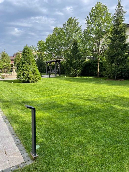 Озеленення ділянки,ландшафтні послуги