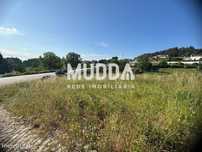 Terreno p/construção em altura - Pinheiro da Bemposta, Oliveira de Aze