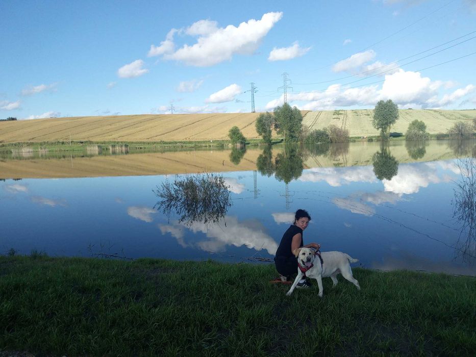 BASADI :)                                         Hotel dla psów :)
