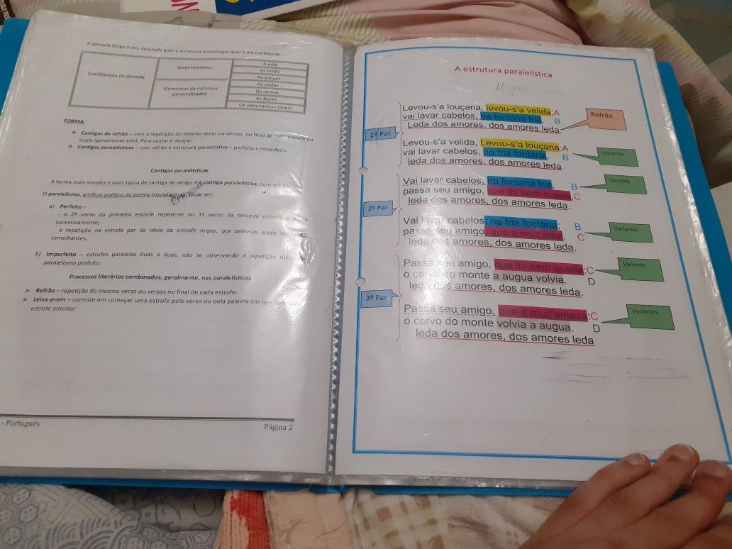 Pasta com fichas informativas - Matéria do 8° ao 11° ano