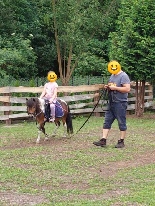 Sprzedam klacz kucyka