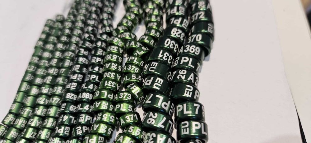 Obrączki dla Rozelli 6 mm 2026 r. - 10 sztuk