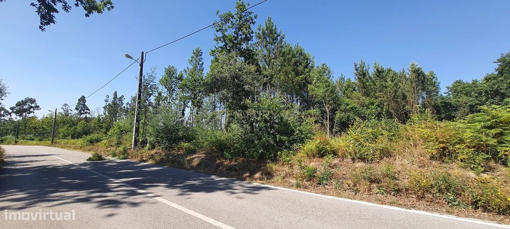 Terreno para construção com área de 3.900,00m² em Oliveirinha, Carrega