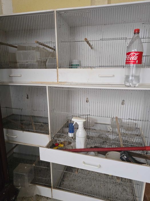 Gaiola criação de aves