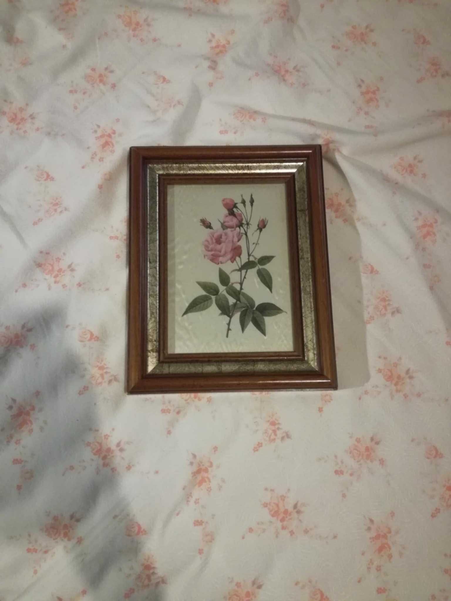 3 Molduras e 1 Quadro