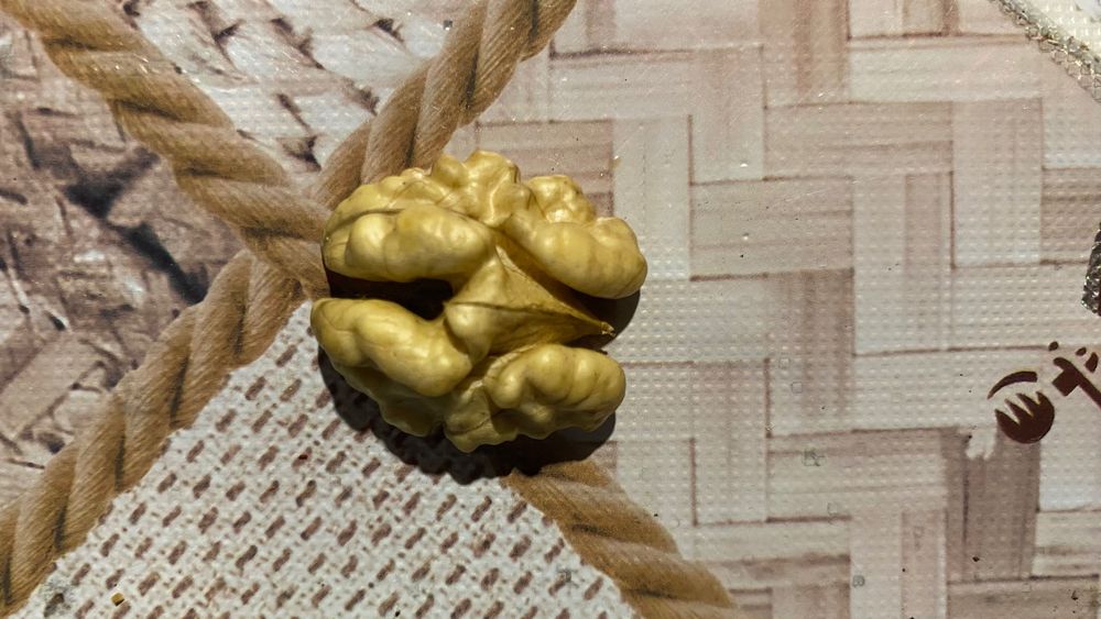 Грецький горіх битий на бабочку