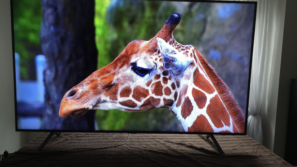 Telewizor Samsung 65" 4K (UHD) z 12m gwarancją