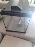 AQUÁRIO USADo 30l