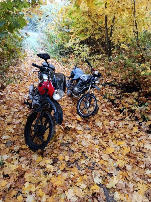 Продам альфу 110 кубів + торг