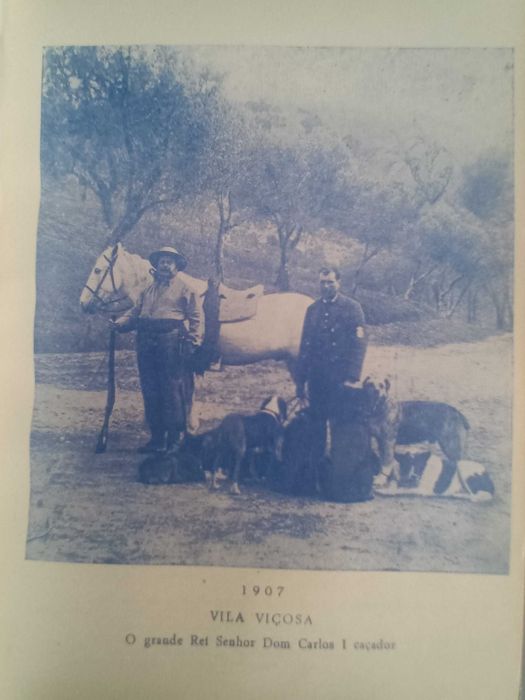 Livro  (Em Defesa do Ultramar de capa dura