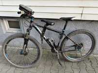 Rower bulls 29”