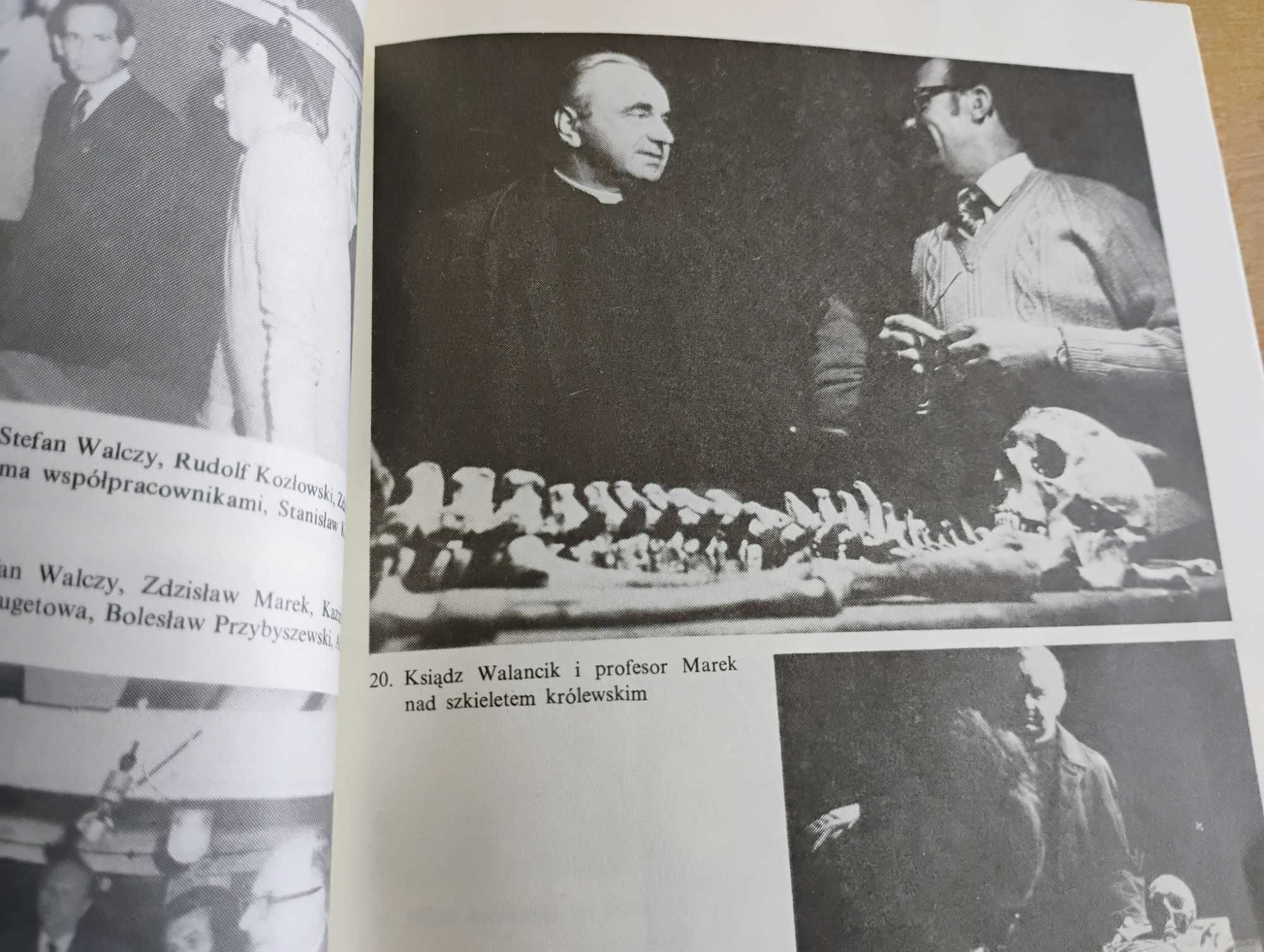 święch, książka klątwy mikroby uczeni, jagiellończyk, śmierć
