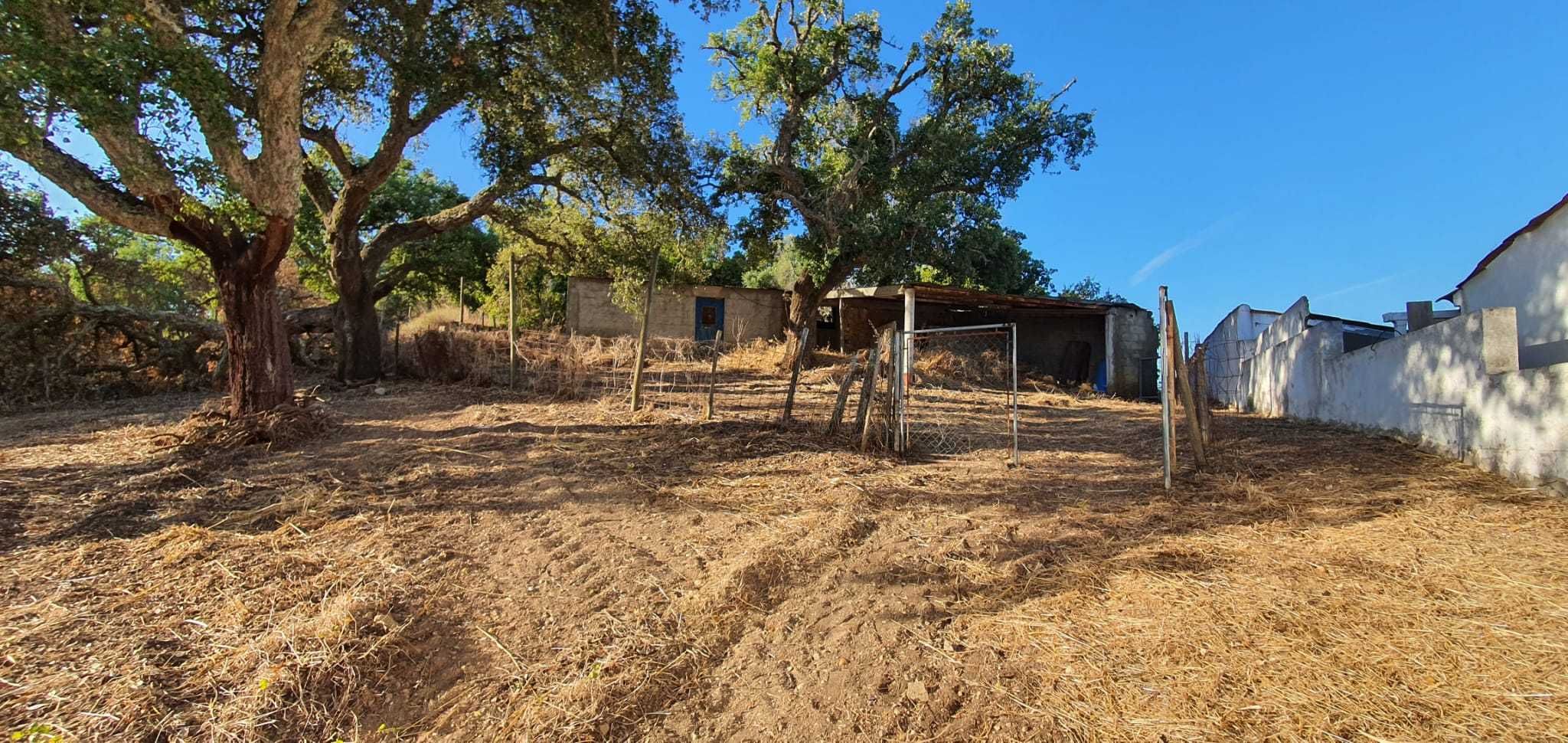 Terreno rústico com armazém, curral e medronheiros | 990 m 2