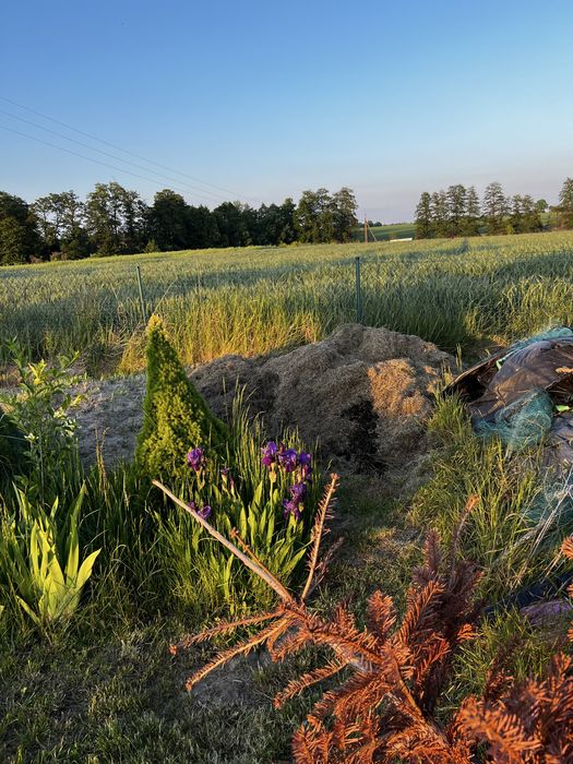 Sprzątanie działki, ogrodów, karczowanie zieleni
