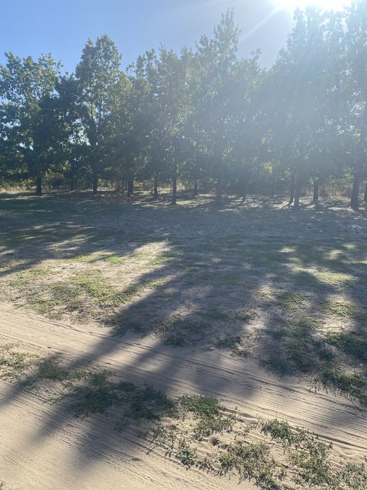 Продам дачу с. Пересадовка