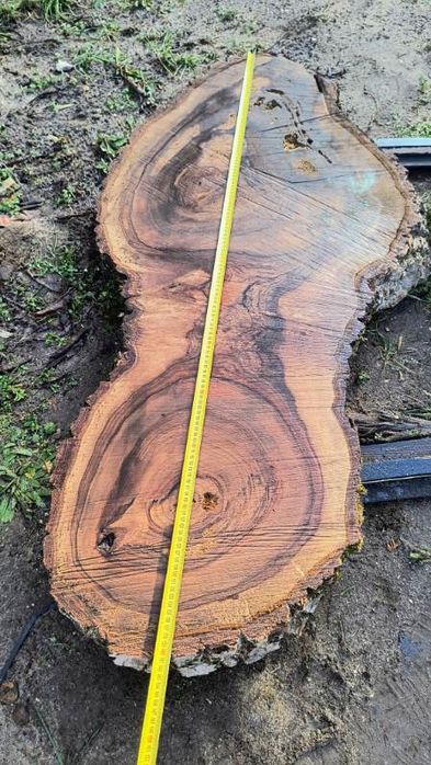 Okazja !!! Sprzedam plastry dębu i orzecha po planowaniu i suszarni