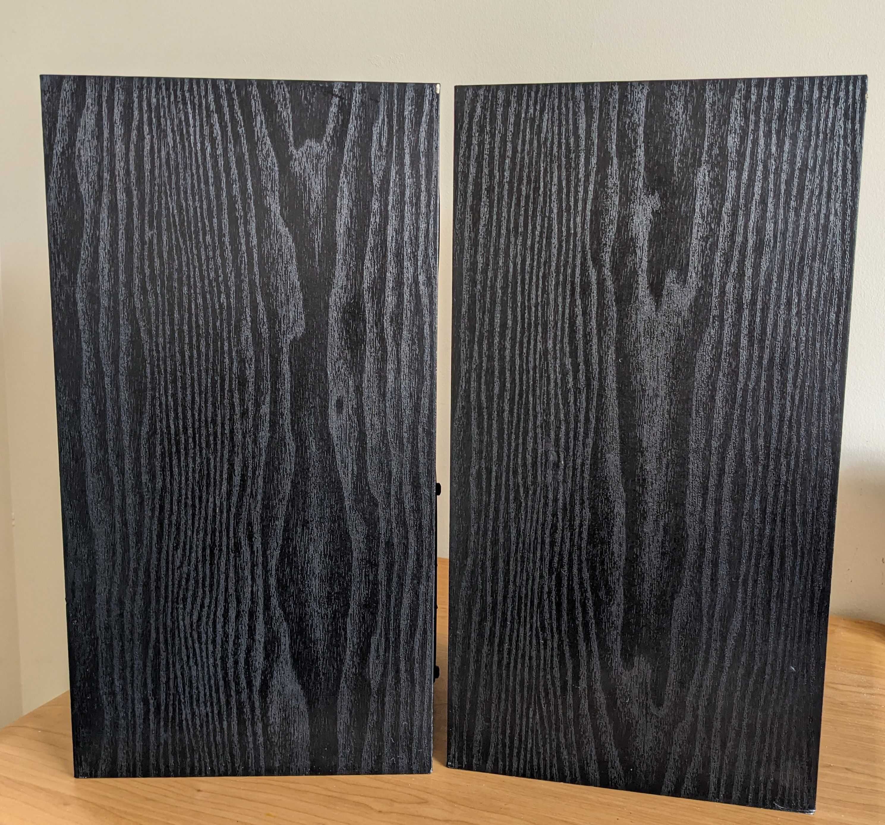 Kolumny Tannoy E11