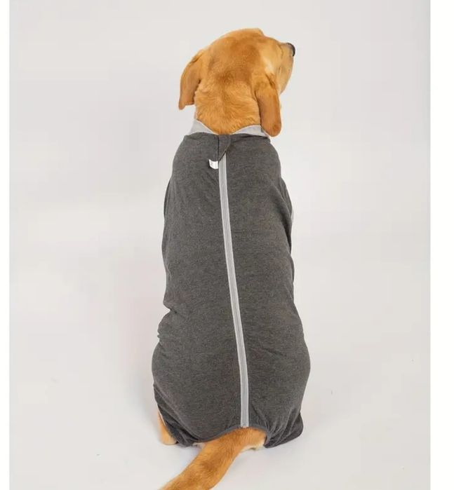 Fato cirúrgico cão