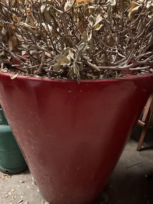 Candeeiros palhinha / Vasos