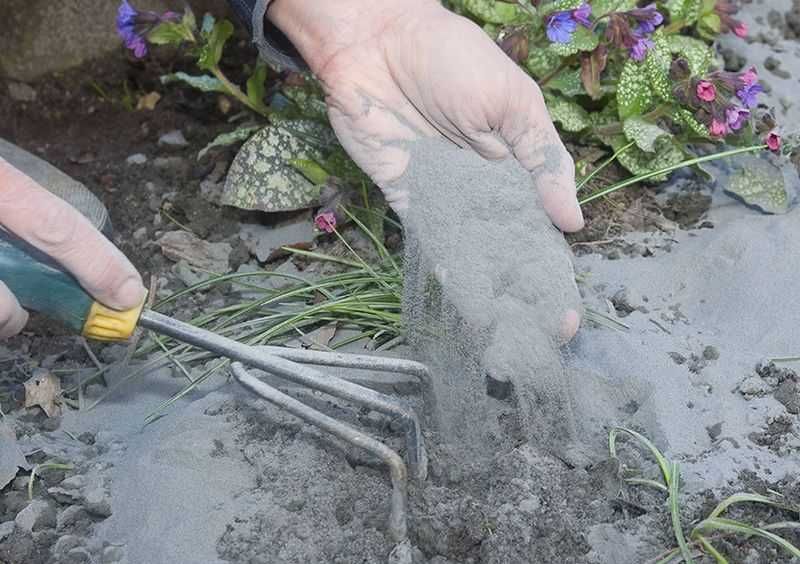 Mączka BAZALTOWY, naturalny NAWÓZ ROŚLINNY, poprawiający jakość gleby