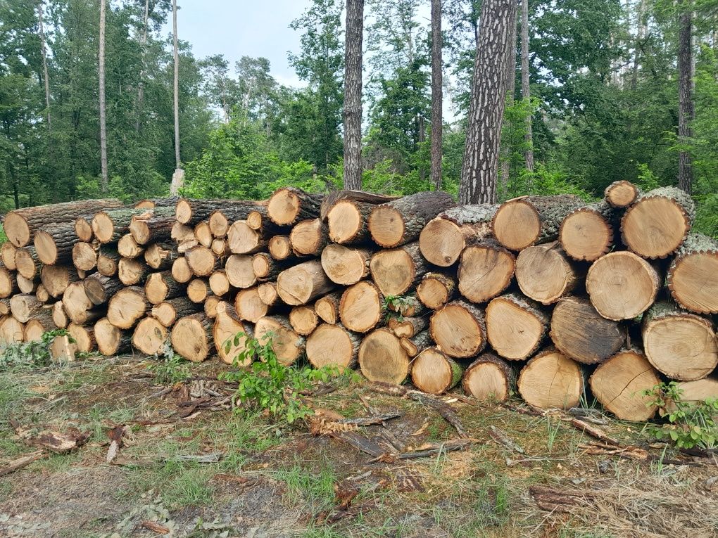 Drewno kominkowe opałowe