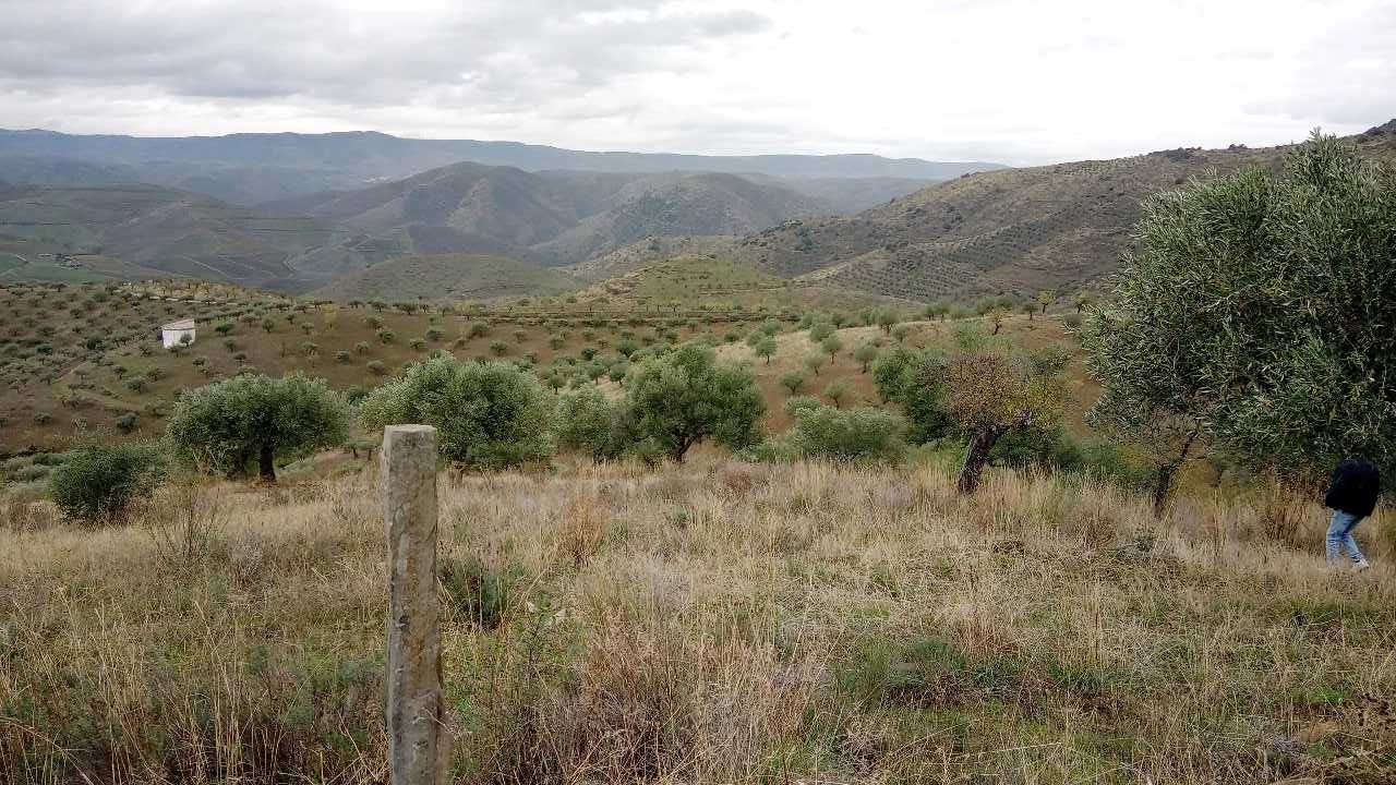 Terreno 15000m2 (1,5h)