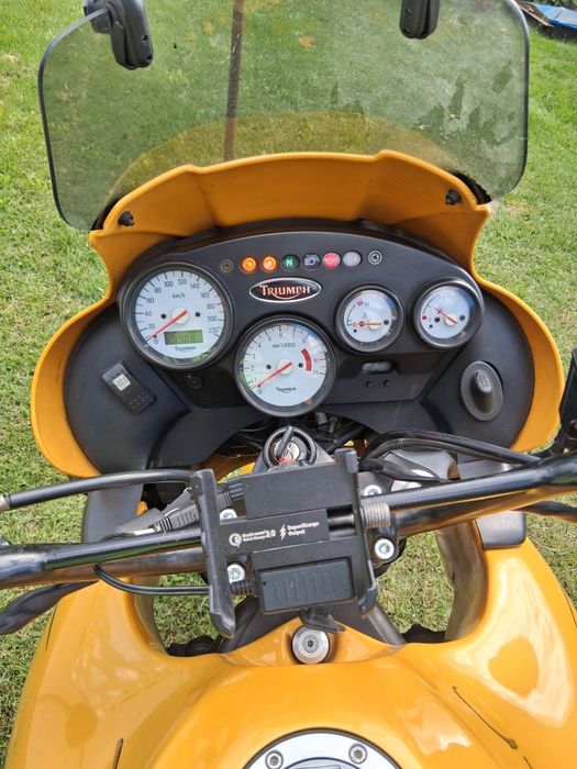 Triumph Tiger 955i