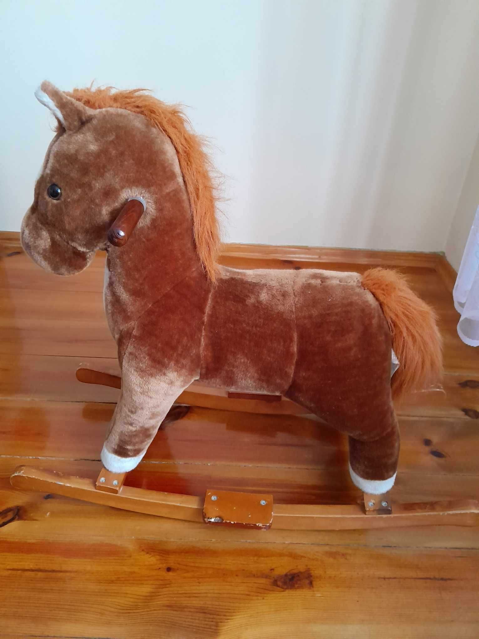 Konik na biegunach