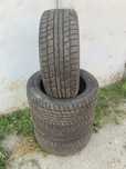 225 55 17 зима Dunlop