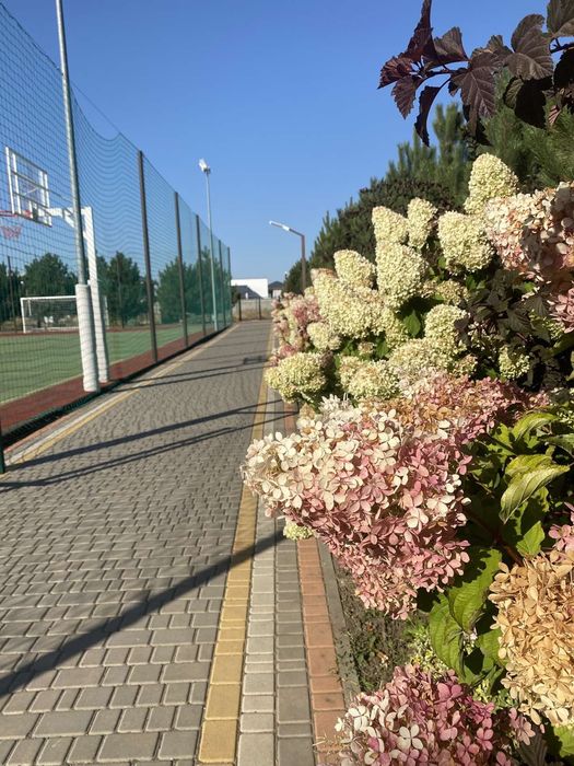 Участок 10 соток Дайберг