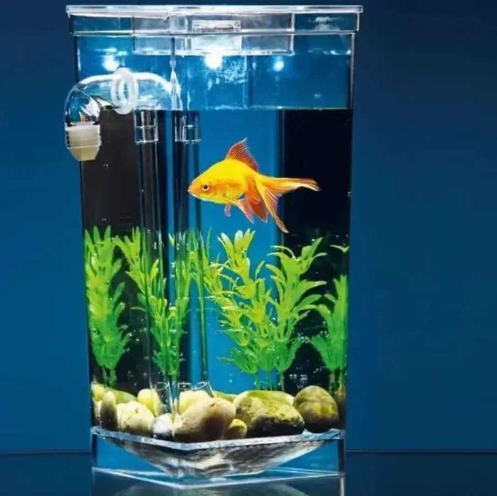 Аквариум самоочистка-дайвінг  в кімнаті