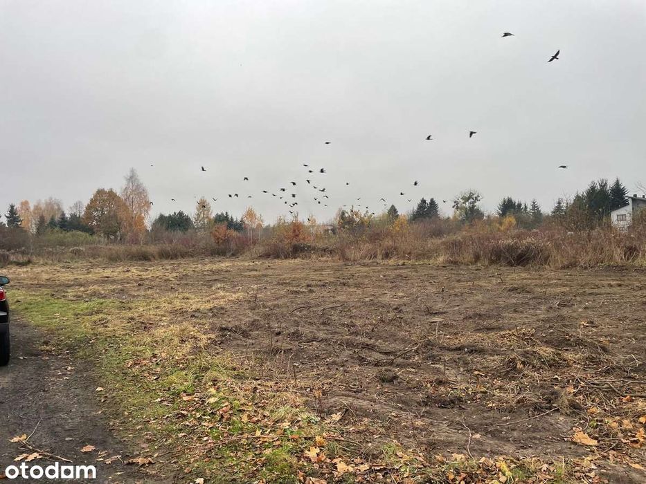 DZIAŁKA RADOM Ulica Potkanowska